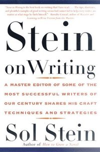 bokomslag Stein on Writing