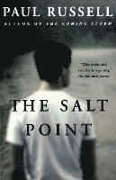 bokomslag The Salt Point