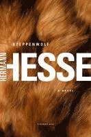 Hermann Hesse - Steppenwolf, Häftad