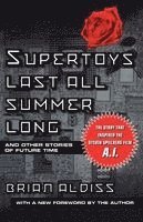 bokomslag Supertoys Last All Summer Long