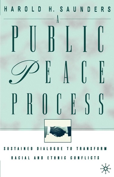 bokomslag Public Peace Process