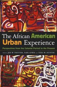 bokomslag The African American Urban Experience