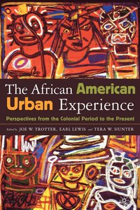 bokomslag The African American Urban Experience