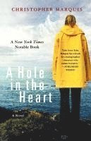 A Hole In The Heart 1