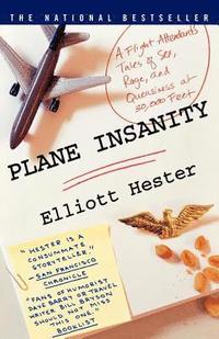 bokomslag Plane Insanity: A Flight Attendant's Tales of Sex, Rage, and Queasiness at 30,000 Feet