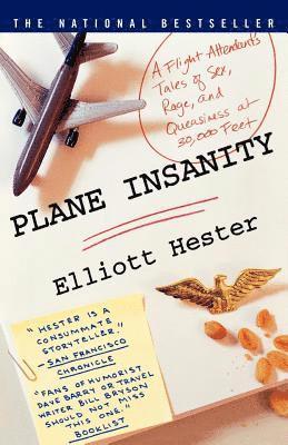 bokomslag Plane Insanity: A Flight Attendant's Tales of Sex, Rage, and Queasiness at 30,000 Feet