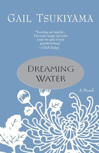 bokomslag Dreaming Water
