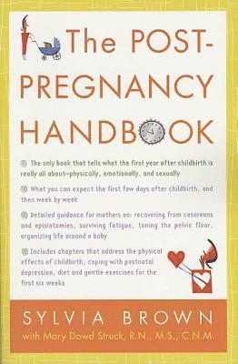 bokomslag The Post-Pregnancy Handbook
