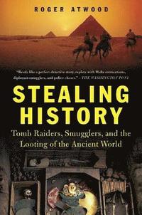 bokomslag Stealing History