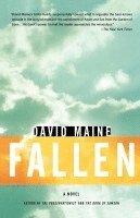 David Maine - Fallen, Häftad
