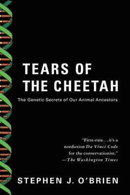 Tears Of The Cheetah 1