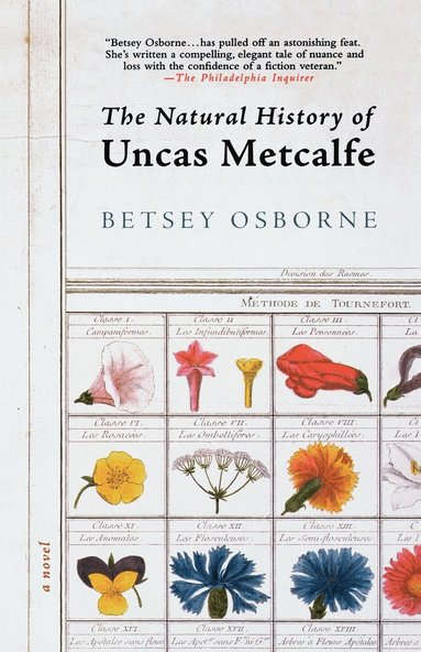 bokomslag The Natural History of Uncas Metcalfe
