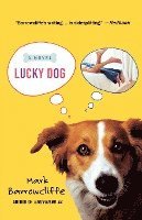 Lucky Dog 1