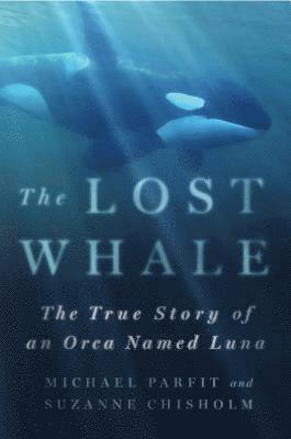 Michael Parfit, Suzanne Chisholm - Lost Whale, Inbunden