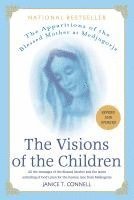 bokomslag The Visions of the Children: The Apparitions of the Blessed Mother at Medjugorje