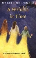 bokomslag A Wrinkle in Time
