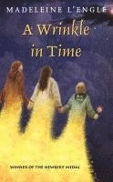 Wrinkle In Time 1
