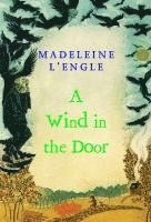 bokomslag Wind in the Door