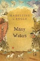Madeleine L'Engle - Many Waters, Häftad