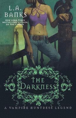 bokomslag Darkness