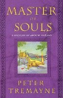 bokomslag Master of Souls: A Mystery of Ancient Ireland