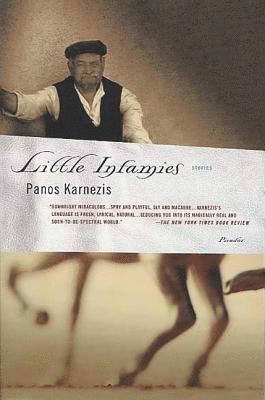 bokomslag Little Infamies