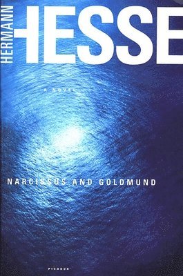 Hermann Hesse - Narcissus and Goldmund, Häftad