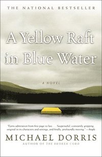 bokomslag A Yellow Raft in Blue Water