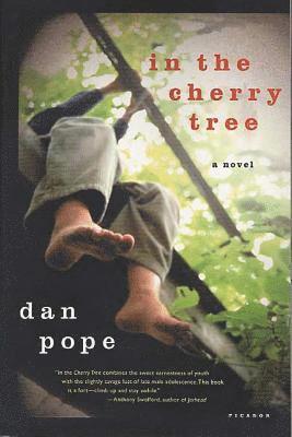 Dan Pope - In the Cherry Tree, Häftad