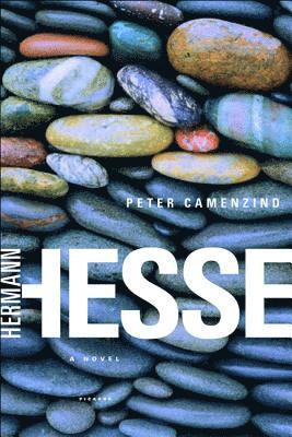 Hermann Hesse - Peter Camenzind, Häftad