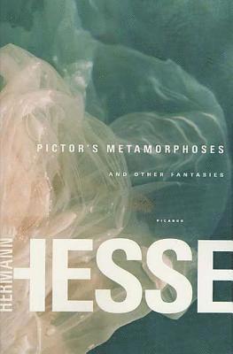 bokomslag Pictor's Metamorphoses: And Other Fantasies