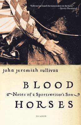 bokomslag Blood Horses