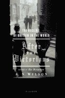 bokomslag After the Victorians: The Decline of Britain in the World