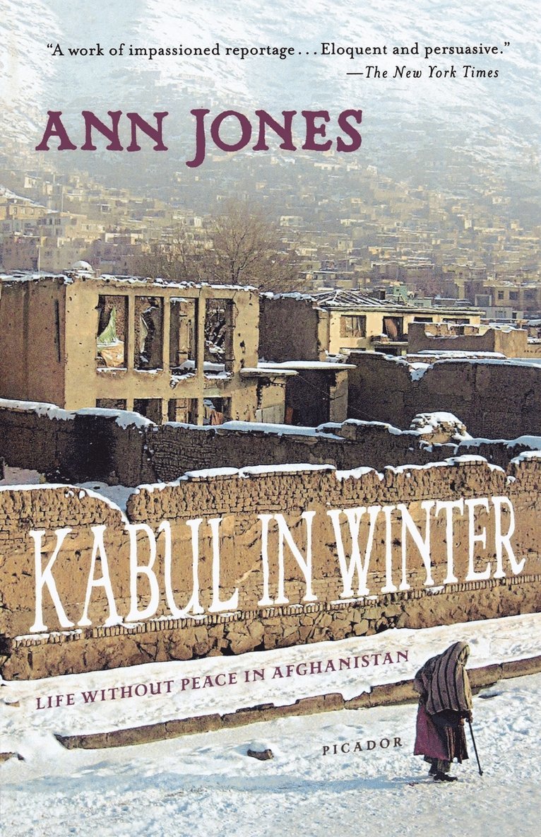 Kabul In Winter 1