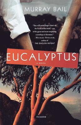 Murray Bail - Eucalyptus, Häftad