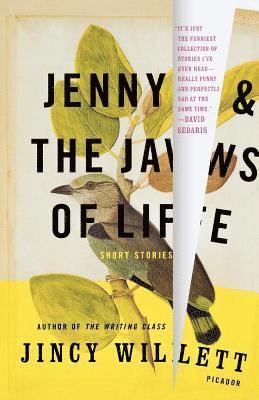 bokomslag Jenny and the Jaws of Life: Short Stories