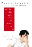 bokomslag Someday This Pain Will Be Useful to You