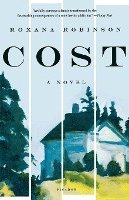 bokomslag Cost