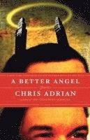 bokomslag A Better Angel: Stories