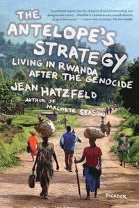 bokomslag The Antelope's Strategy: Living in Rwanda After the Genocide