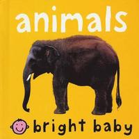 bokomslag Bright Baby Animals