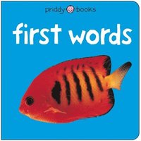 bokomslag Bright Baby First Words