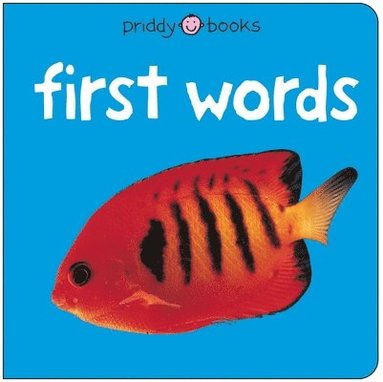 bokomslag Bright Baby First Words
