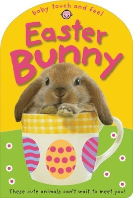Roger Priddy - Baby Touch and Feel Easter Bunny: These Cute Animals Can't Want to Meet You!, Kartonnage