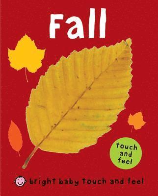 Roger Priddy - Fall, Kartonnage