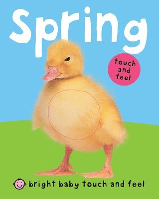 Roger Priddy - Spring, Kartonnage