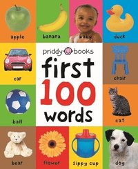 bokomslag First 100 Words