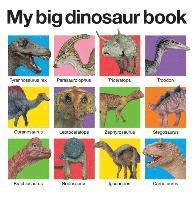 bokomslag My Big Dinosaur Book