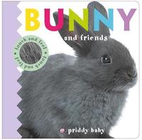 bokomslag Bunny and Friends