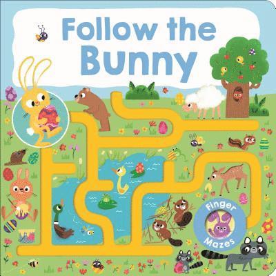 Roger Priddy - Maze Book: Follow the Bunny, Kartonnage